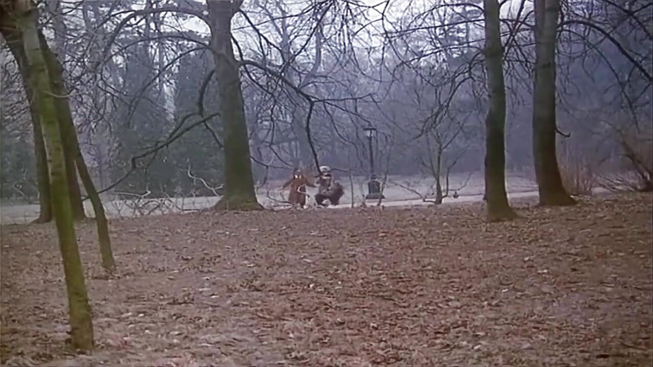 Lustige Witwe (1995)
