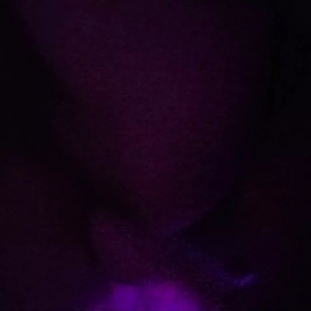 Panty are awesome!