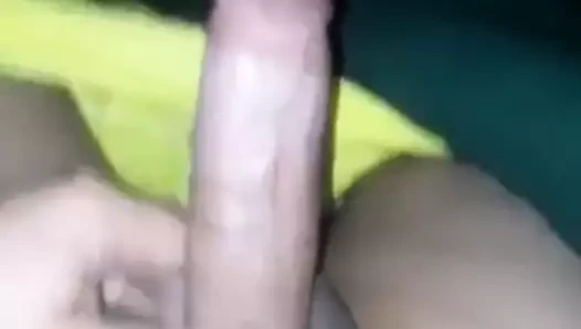 My Dick for Horny Girls