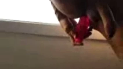 horoz oyun eğlence