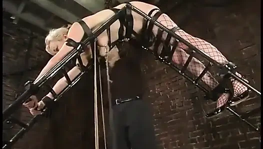 Adrianna nicole and torque