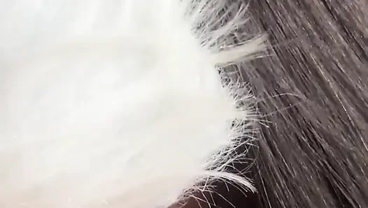 Heute bin ich ein freches kätzchen, das milch will