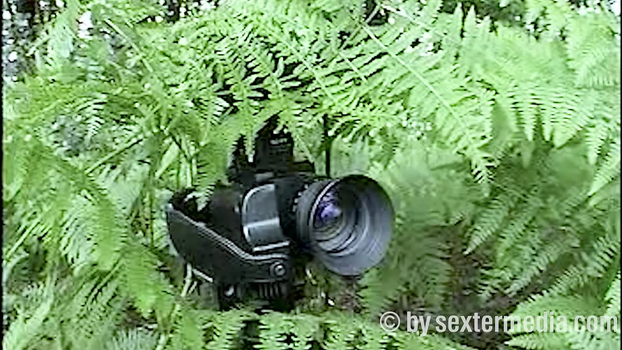 烫发金发在裸体主义者