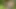 Öffentlich deepthroath - brünette hat harten analsex im wald. Analer creampie