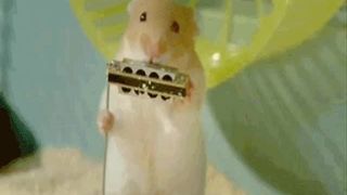 Xhamstersのジャズバンドがマスクラットの散歩をする。