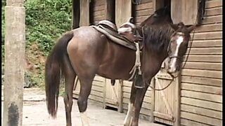 Morena cowgirl recebe um pau gordo para foder depois de ter sua buceta comida