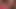 Dumb British Fuckdoll keeps Cumming on my Cock