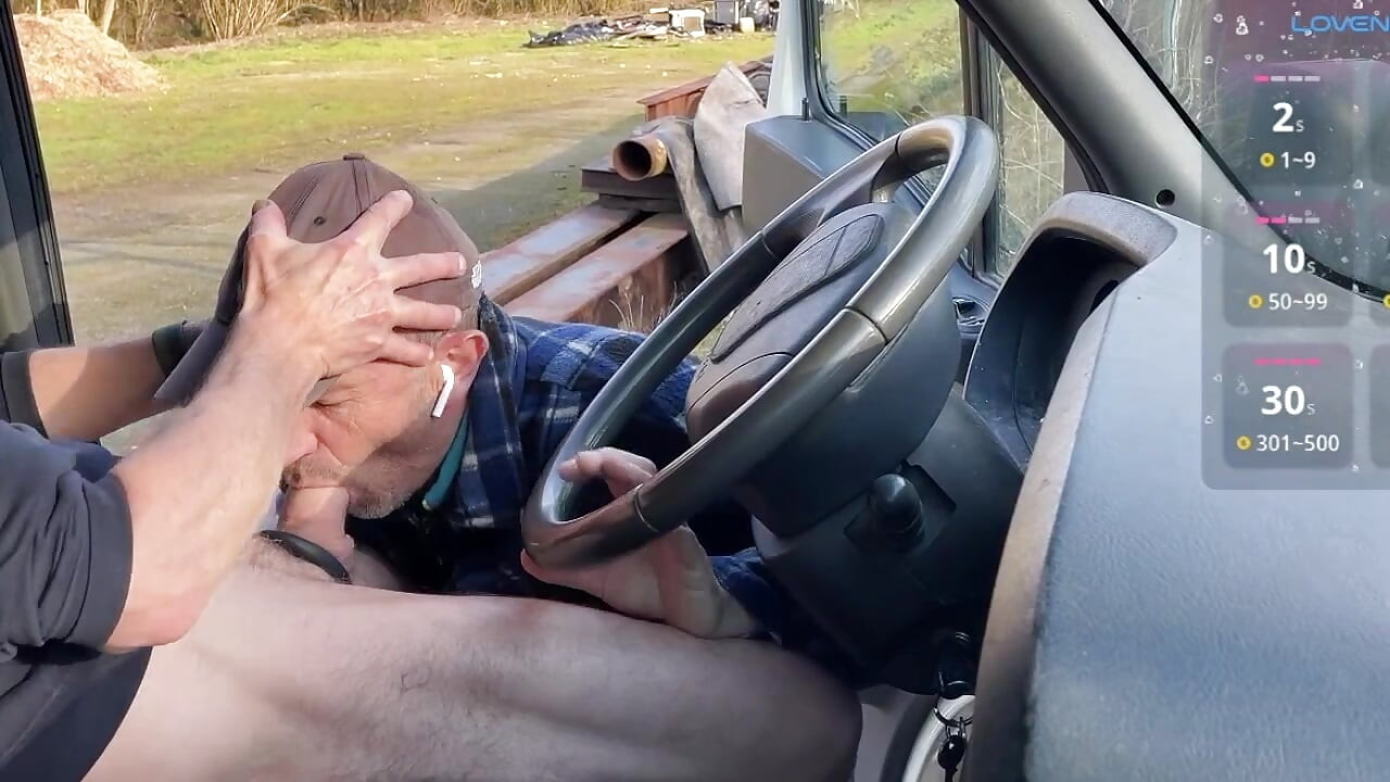 Sunny Day Car Encounter