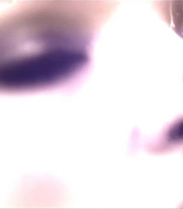 Let's Go on the Hunt for Depraved MILFs to Fuck Soft - Part #2