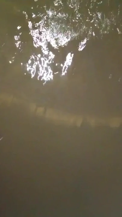 Момент падіння щелепи від "Cd на відкритому повітрі, грязьова прогулянка і поцілунок у нейлонових колготках і купальнику".