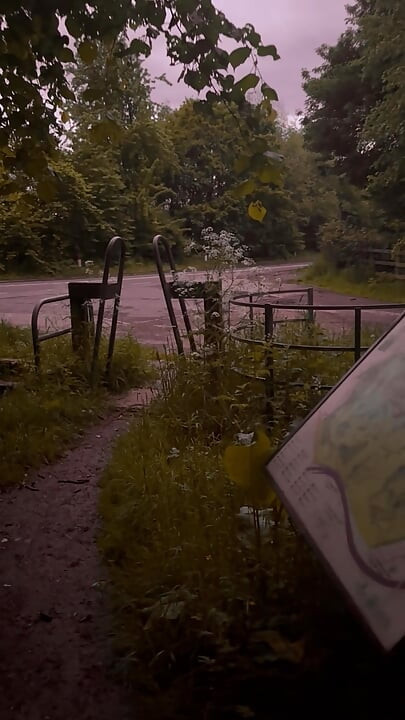 Caminando desnudo descalzo en el bosque