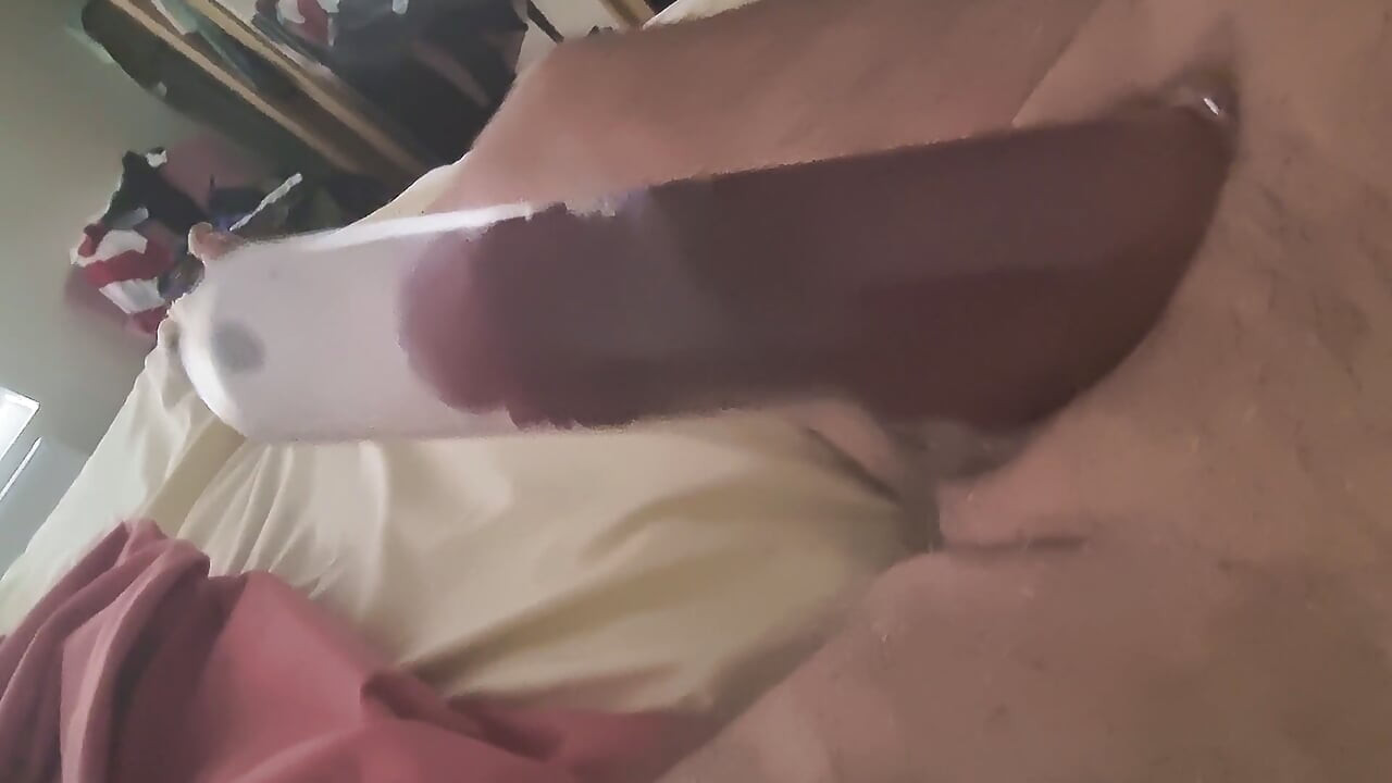 My cock this morning