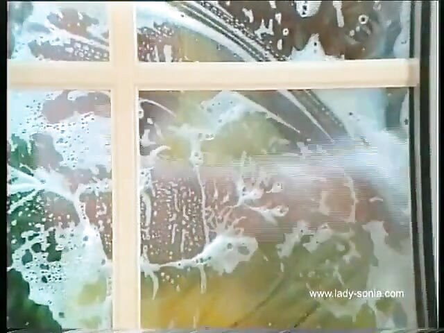 The Window Cleaner