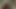 نيك زوجي في طيزه باستخدام دسار مخلس على طريقة الكلب - Shamelesshy