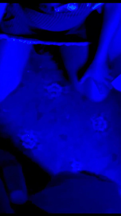 ตูดดําใหญ่ของ Tamara โดนควยใหญ่ผิวดําเย็ด