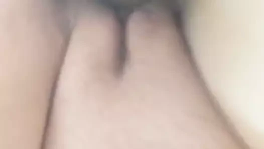 lanet kedi