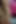 Step Son Fucking Her Step Mom Pussy Secret Homemade Sex