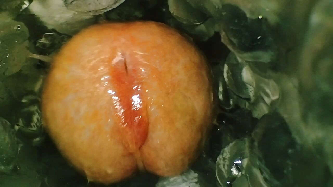 Close up pik i fisse og slow motion cumshot lækker sæd til dig