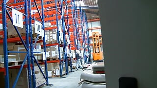 German Full Movies