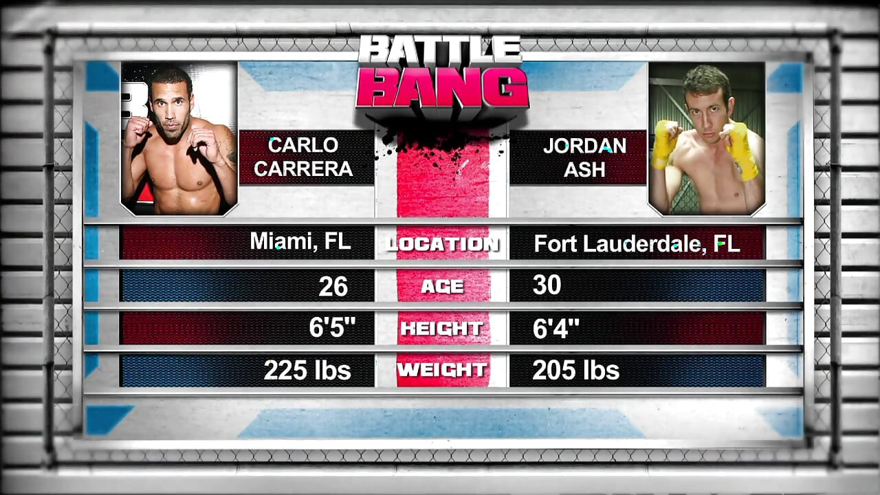 Zwaar gepolste meid van heerlijk merrieveulen ziet er klein vol klaarkomen in het gezicht