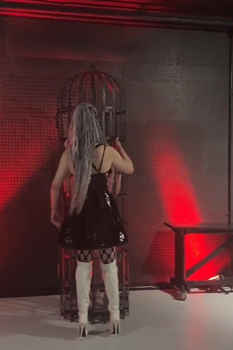 Mistress Having Some Fun
