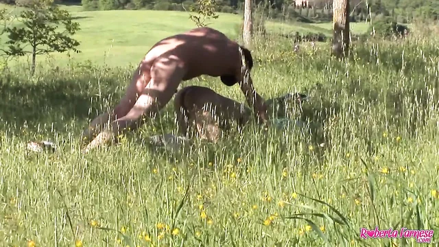 The voyeur