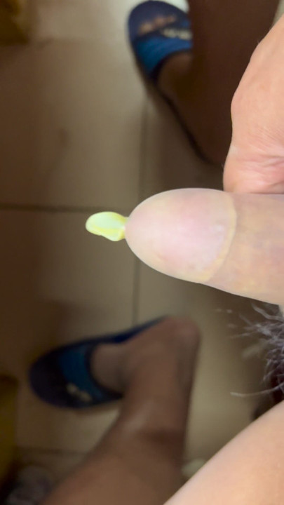 O pau está usando um balão transparente de 660 comprimentos