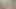 A Lone Girl in the Jungle Has Sex
