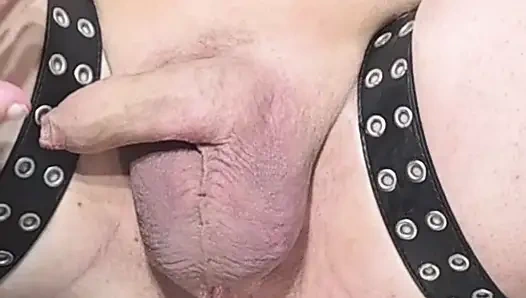 Wir haben es wieder gemacht