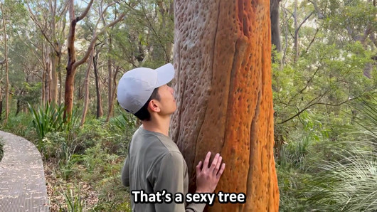 第274集。肮脏的盘子。