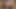 Hot Latin Girlfriend Sucks Her Boyfriend's Cock In The Room - Deep Blowjob With Deep Throat, Gagging, Tears, Saliva, Swallowing