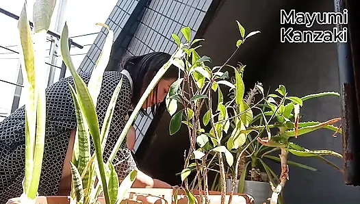 Saksı Bitkisine Idrar Yapmak