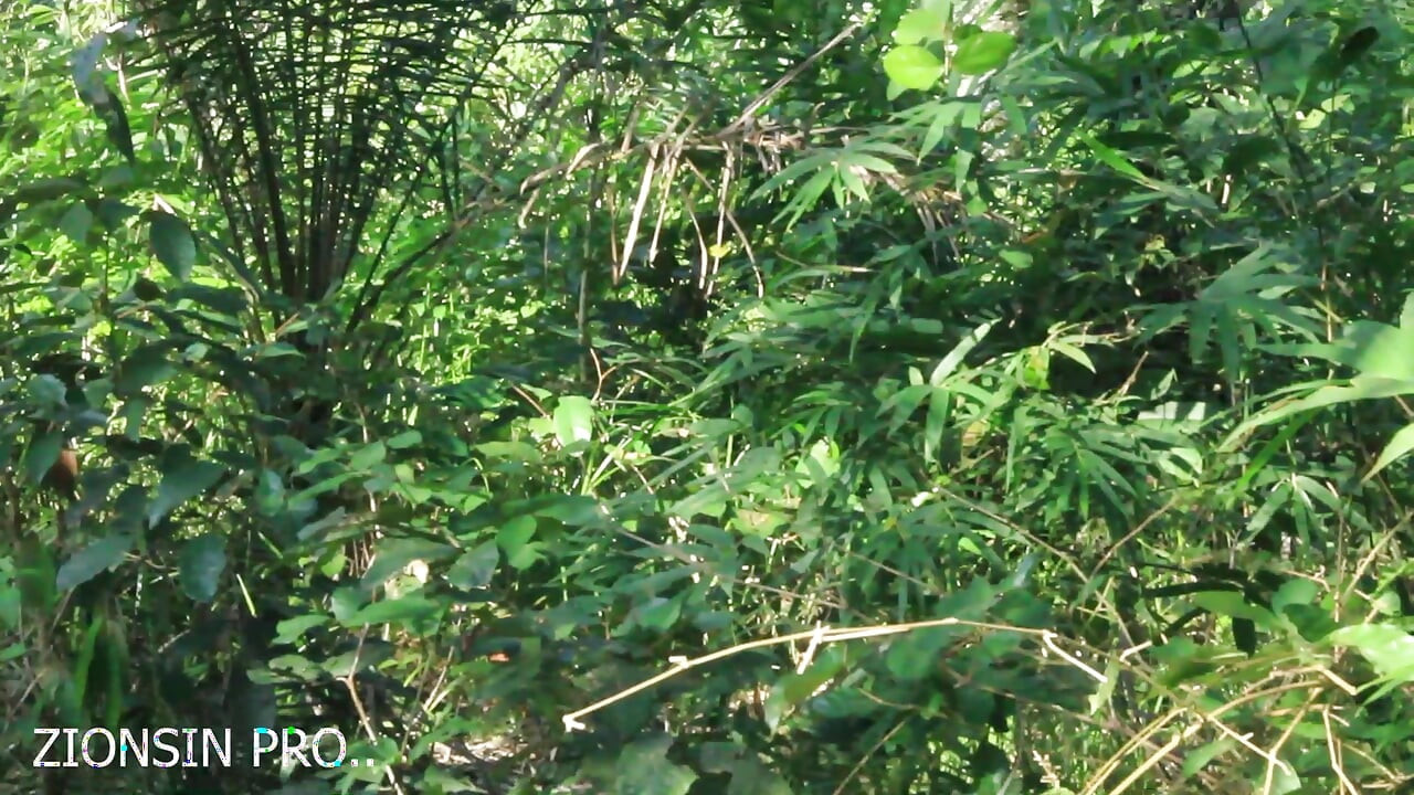 African girl in search of firewood in the bush got fuck by a bush man