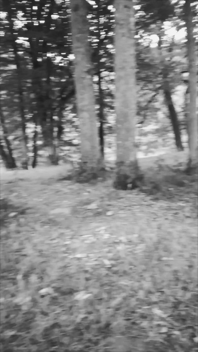 Nature and discovery sport