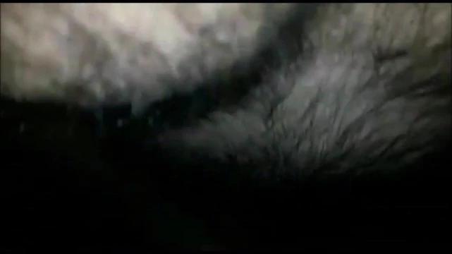 Adoro te minha Puta