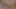 Belladonna fucked and creampied.