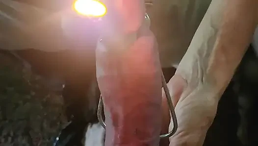 Goode girl bakış açısı kocasının yarağı ve taşaklarıyla cbt eğlencesi