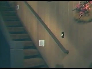 Zebra Club (1986)