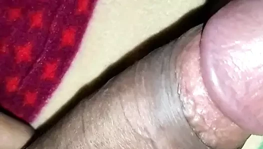delhi