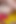 Indian Unmarried Hot Couples Fucked in Hindi Desi