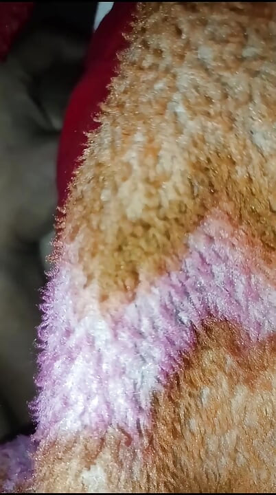 Happy new year 2026 bhabhi ko pela raat bhar