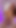Cum with Easter Bunny. Dirty Dildo Play, Blowjob & Footjob