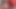 Misty Naught List Gloryhole Dick Present