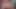 Ai 異人種間のチンポ共有