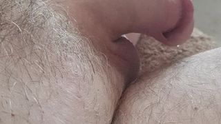 Small shaved cock growing