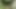 Schwules cruisen im wald, heißer blowjob