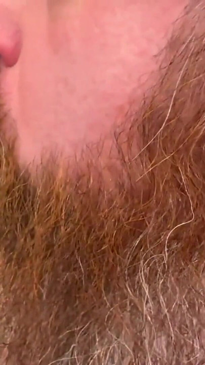 Captivating moment from "You Like Hairy Guys?  3 Bears Breed"