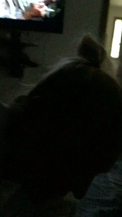 Best wife, sorry for the bad lighting