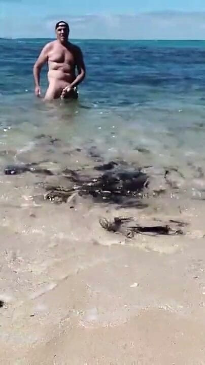 Adeliade Beach | Clip 1