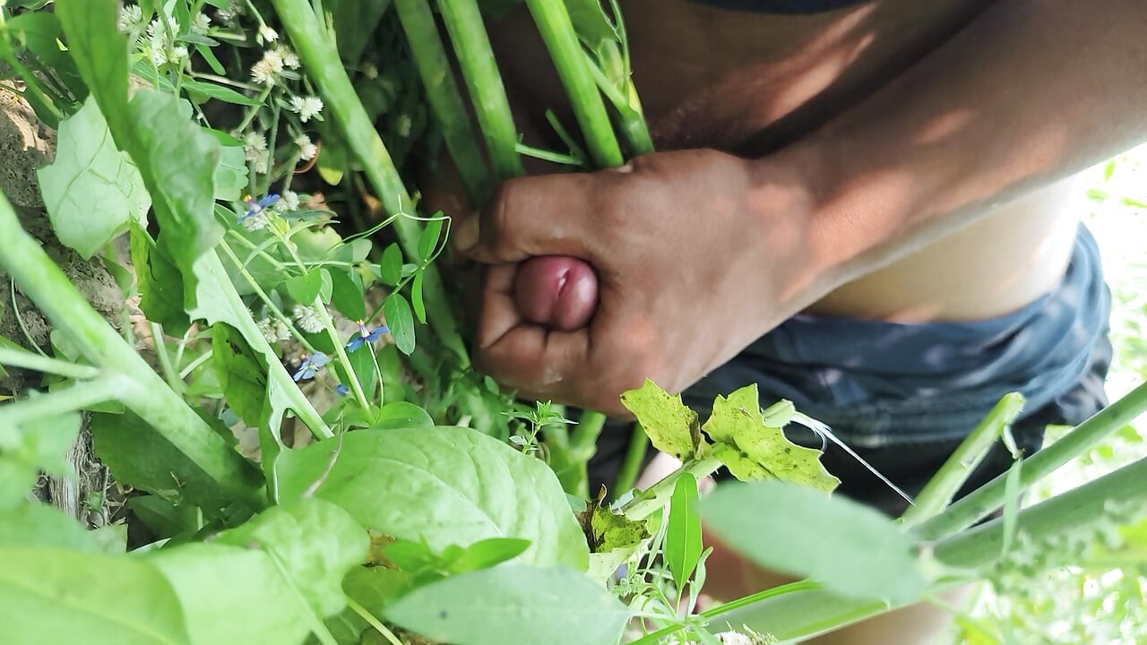 Desi village sarso ke khet me manoranjan